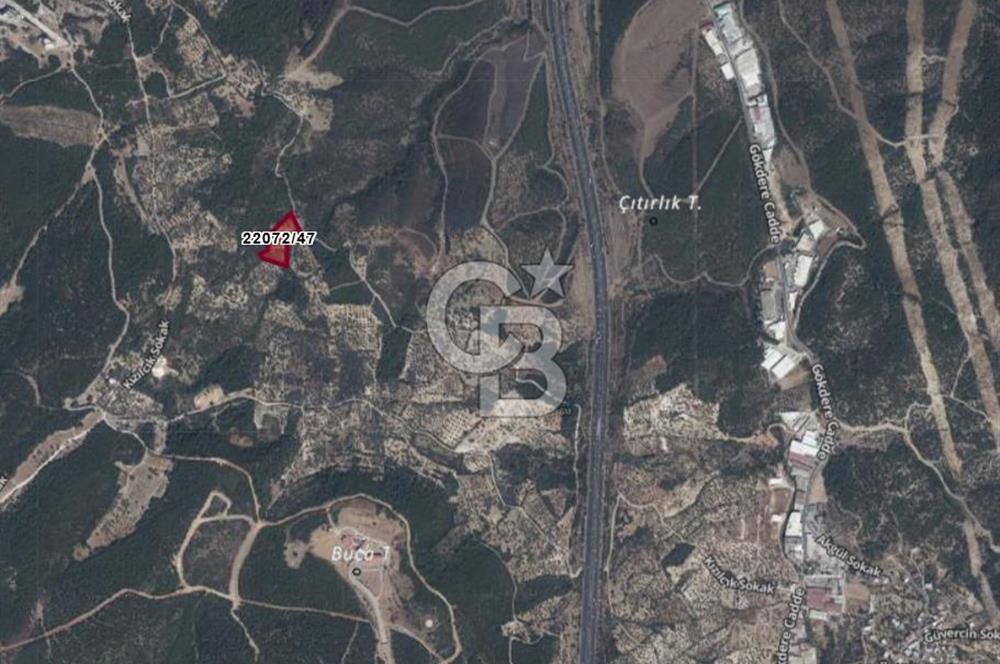 Bugün Gelir,Yarın Büyük Değer Artışı-Bornovada Yatırımlık Tarla