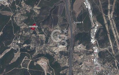 Bugün Gelir,Yarın Büyük Değer Artışı-Bornovada Yatırımlık Tarla