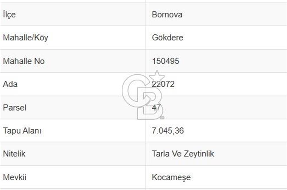 Bugün Gelir,Yarın Büyük Değer Artışı-Bornovada Yatırımlık Tarla