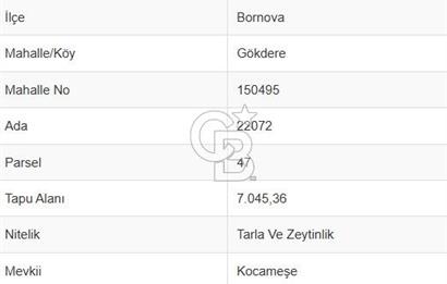 Bugün Gelir,Yarın Büyük Değer Artışı-Bornovada Yatırımlık Tarla