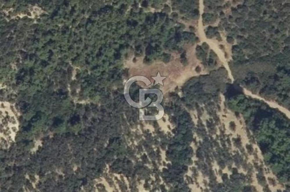 Bugün Gelir,Yarın Büyük Değer Artışı-Bornovada Yatırımlık Tarla