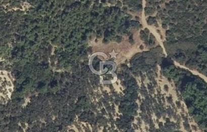 Bugün Gelir,Yarın Büyük Değer Artışı-Bornovada Yatırımlık Tarla