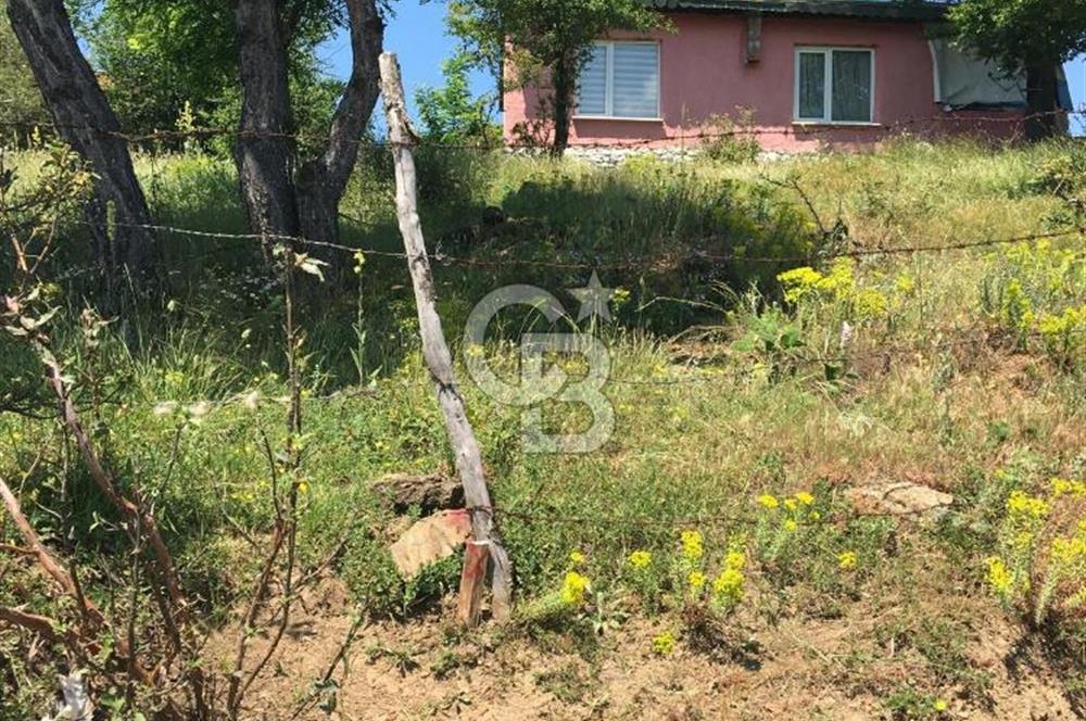 KASTAMONU BADEMBEKDEMİR KÖYÜ SATILIK KARGİR EV VE BAHÇESİ