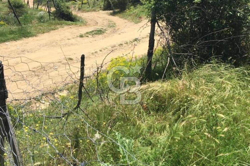 KASTAMONU BADEMBEKDEMİR KÖYÜ SATILIK KARGİR EV VE BAHÇESİ