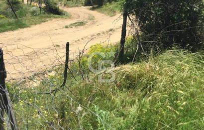 KASTAMONU BADEMBEKDEMİR KÖYÜ SATILIK KARGİR EV VE BAHÇESİ