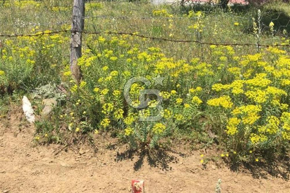 KASTAMONU BADEMBEKDEMİR KÖYÜ SATILIK KARGİR EV VE BAHÇESİ