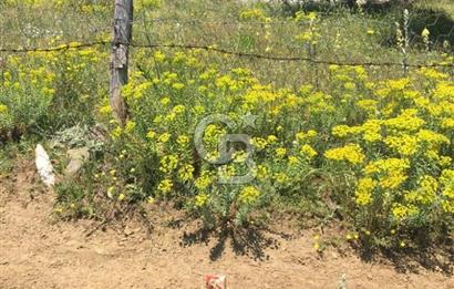 KASTAMONU BADEMBEKDEMİR KÖYÜ SATILIK KARGİR EV VE BAHÇESİ