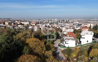 Bursa Osmangazi Çekirgede Eşsiz Villa Arsası Fırsatı!