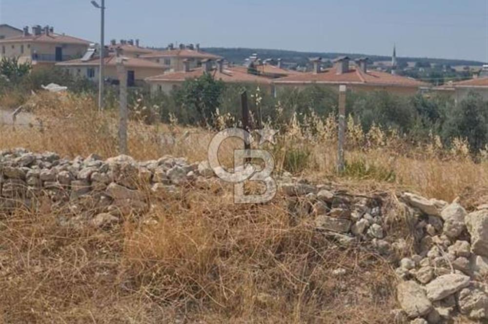 İzmir Menderes İmar Sınırına Yakın Satılık Tarla