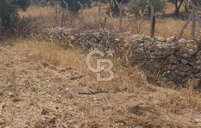 İzmir Menderes İmar Sınırına Yakın Satılık Tarla