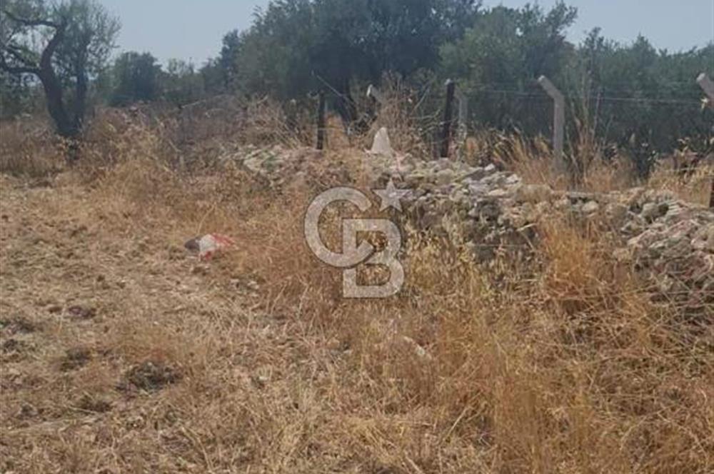 İzmir Menderes İmar Sınırına Yakın Satılık Tarla