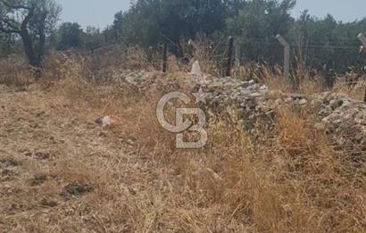 İzmir Menderes İmar Sınırına Yakın Satılık Tarla