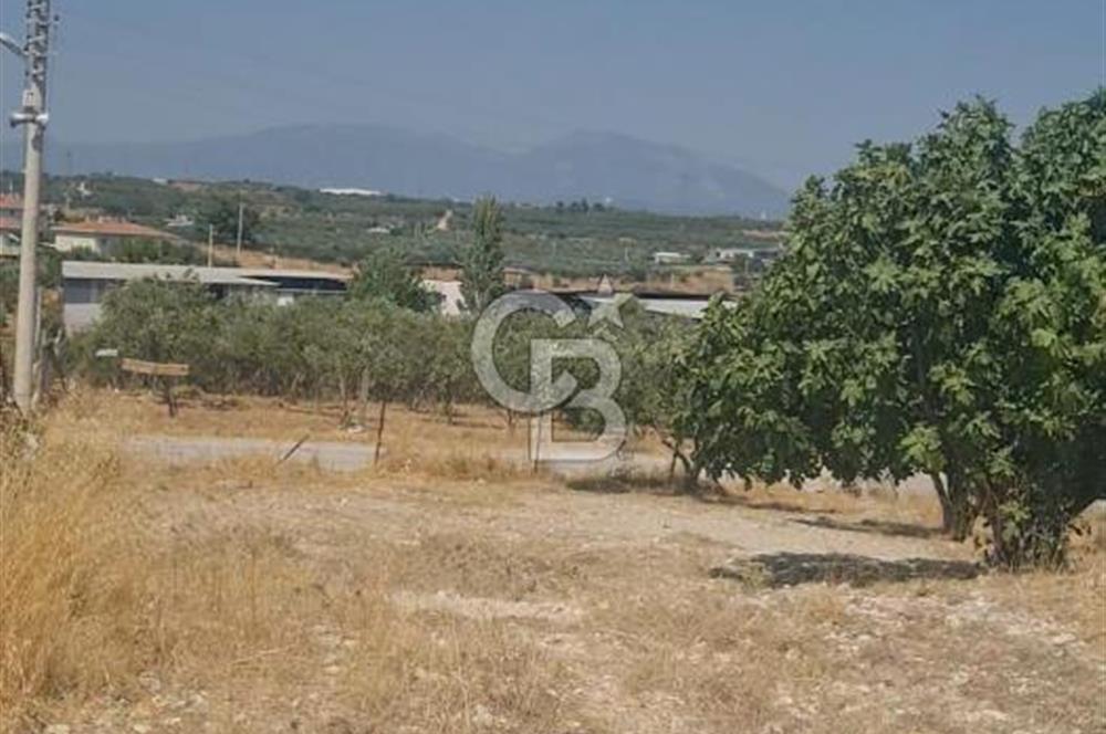 İzmir Menderes İmar Sınırına Yakın Satılık Tarla