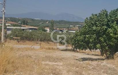 İzmir Menderes İmar Sınırına Yakın Satılık Tarla