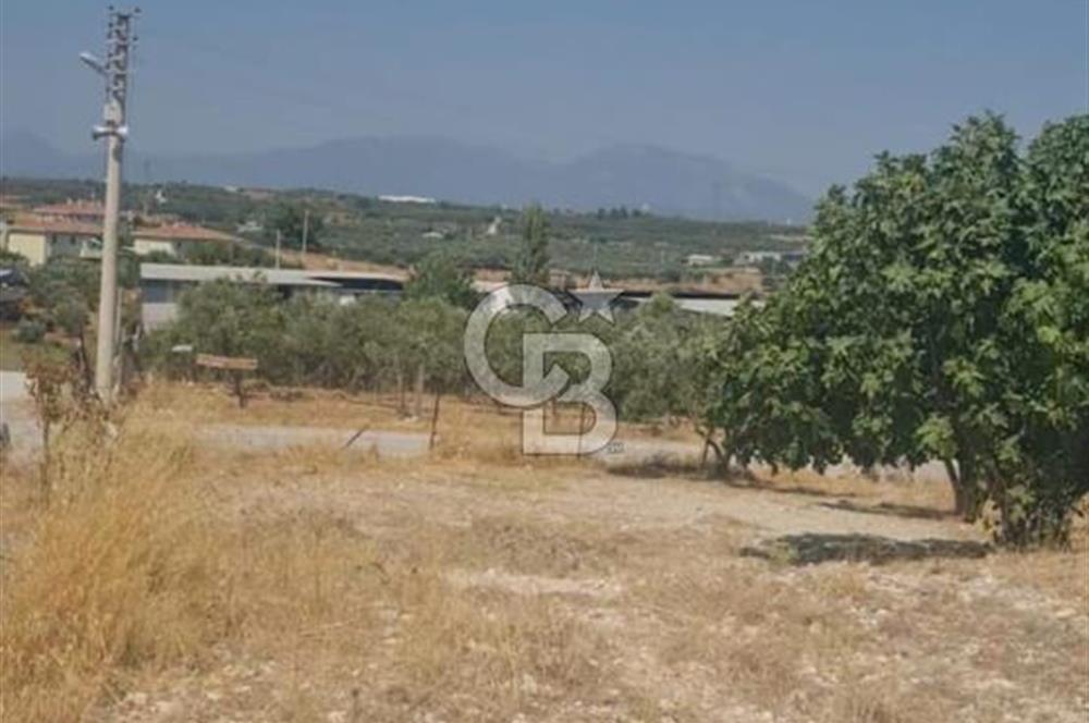 İzmir Menderes İmar Sınırına Yakın Satılık Tarla