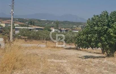 İzmir Menderes İmar Sınırına Yakın Satılık Tarla