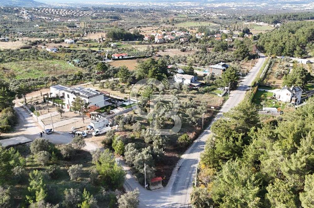 Kemalpaşa Yukarıkızılca’da villa imarlı arsa