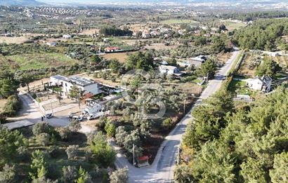 Kemalpaşa Yukarıkızılca’da villa imarlı arsa