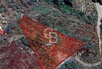 MUĞLA DALAMAN KARACAAĞAÇ SULAK TARLA  - 1 - 320017