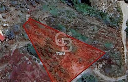 MUĞLA DALAMAN KARACAAĞAÇ SULAK TARLA 