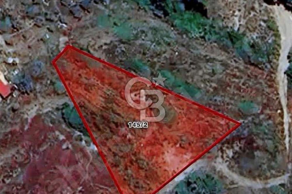 MUĞLA DALAMAN KARACAAĞAÇ SULAK TARLA 