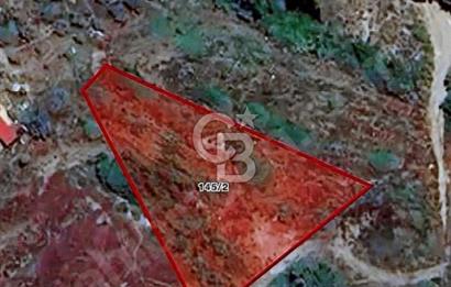 MUĞLA DALAMAN KARACAAĞAÇ SULAK TARLA 