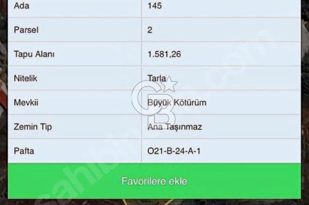 MUĞLA DALAMAN KARACAAĞAÇ SULAK TARLA 