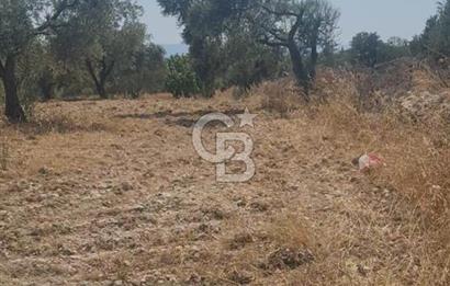 İzmir Menderes İmar Sınırına Yakın Satılık Tarla