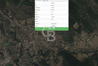 Balıkesir Kepsut Gökköyde 1.4 Dönüm Tek Tapu Arazi Fırsatı. - 1 - 320030