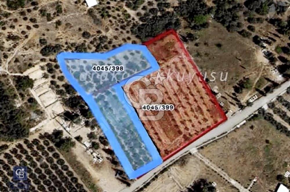 İsmetiye'de Satılık 2950 Metrekare Zeytinlik