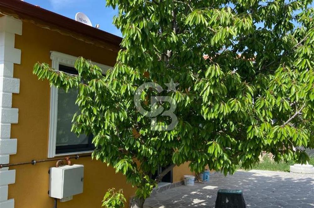 Sıfır satılık bağ evi