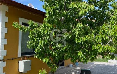 Sıfır satılık bağ evi