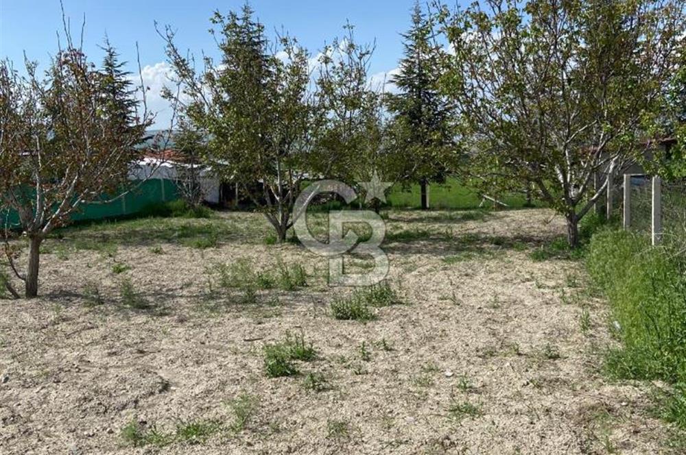 Sıfır satılık bağ evi