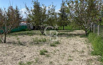 Sıfır satılık bağ evi