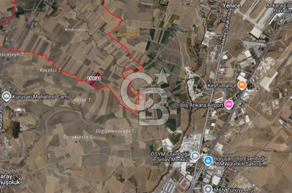 CB PREMIUM'DAN DUMLUPINAR MAHALLESİ'NDE İMARA YAKIN TEK TAPU TARLA