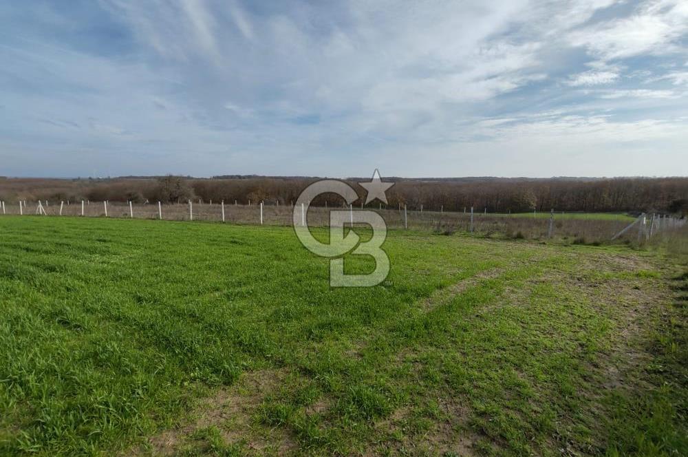 Silivri Çayırdere'de Çerkezköy Merkeze yakın tarla