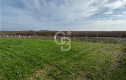 Silivri Çayırdere'de Çerkezköy Merkeze yakın tarla