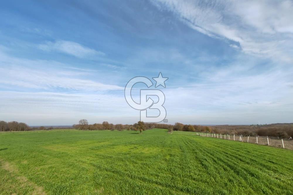 Silivri Çayırdere'de Çerkezköy Merkeze yakın tarla