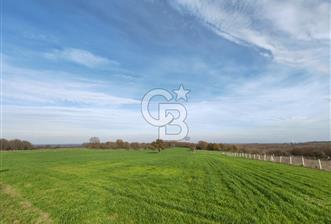 Silivri Çayırdere'de Çerkezköy Merkeze yakın tarla - 4 - 320072