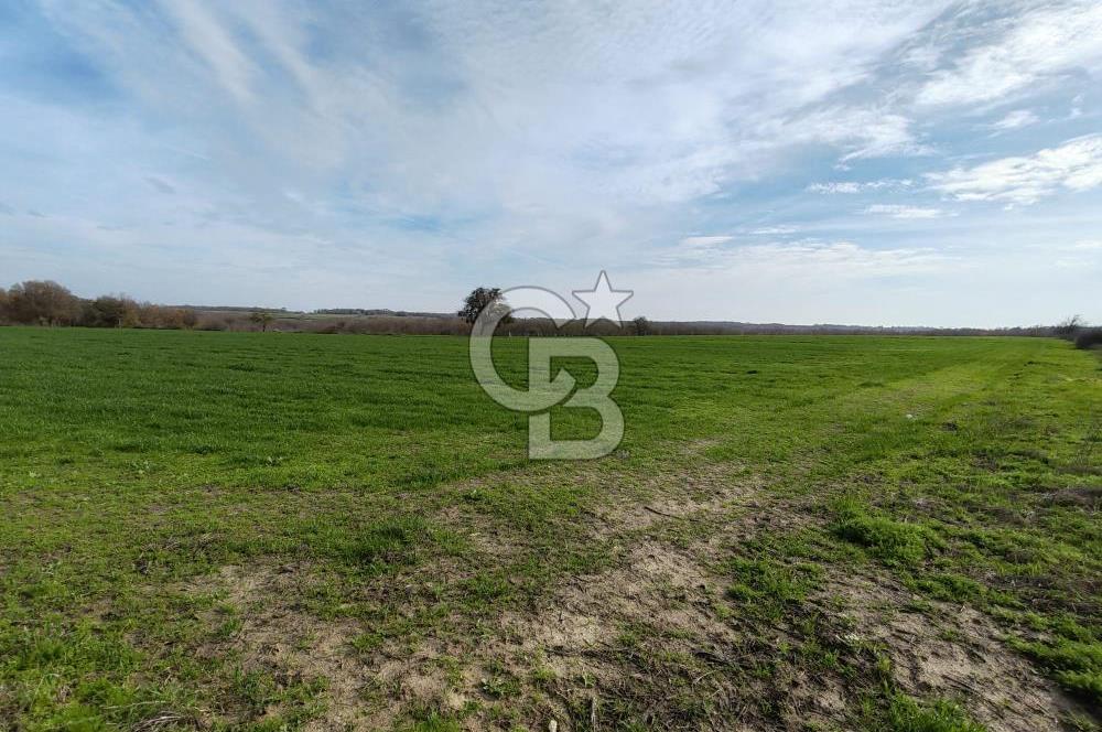 Silivri Çayırdere'de Çerkezköy Merkeze yakın tarla