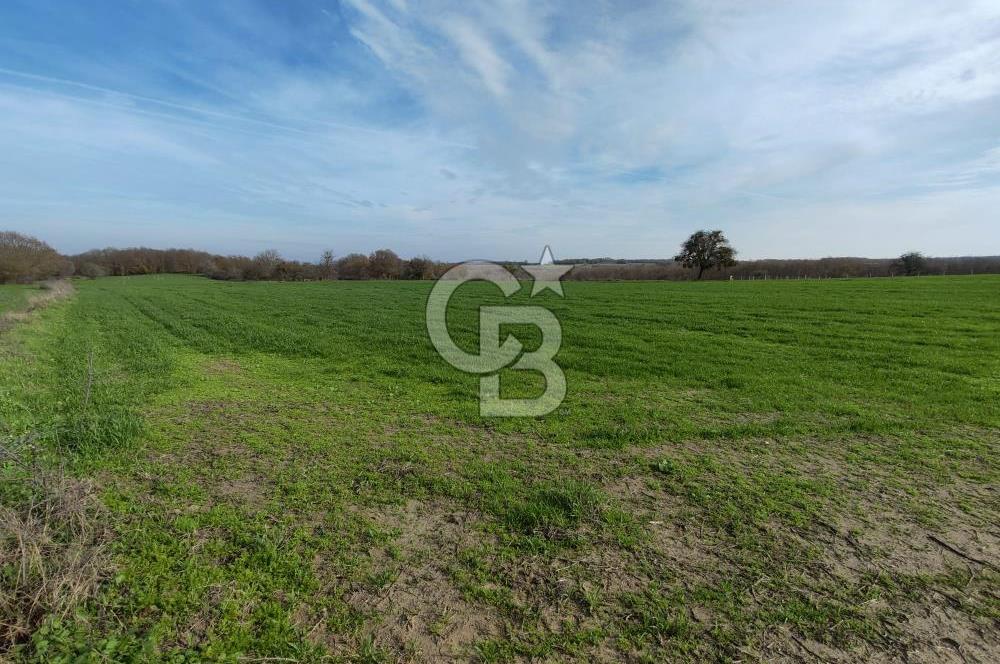 Silivri Çayırdere'de Çerkezköy Merkeze yakın tarla