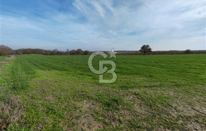 Silivri Çayırdere'de Çerkezköy Merkeze yakın tarla