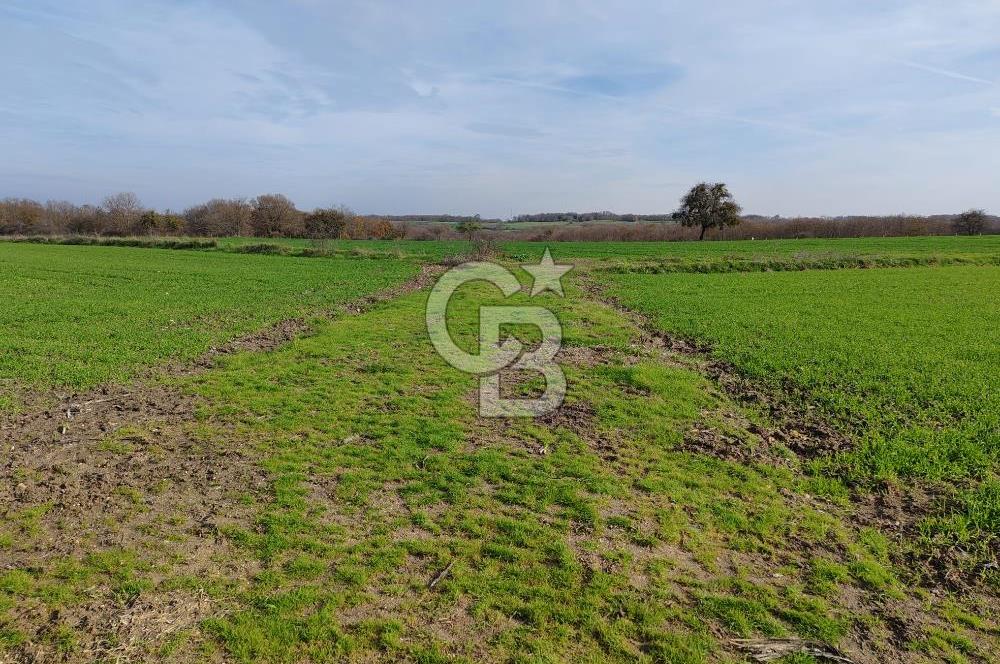 Silivri Çayırdere'de Çerkezköy Merkeze yakın tarla