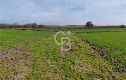 Silivri Çayırdere'de Çerkezköy Merkeze yakın tarla