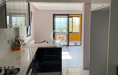 Sıfır satılık bağ evi