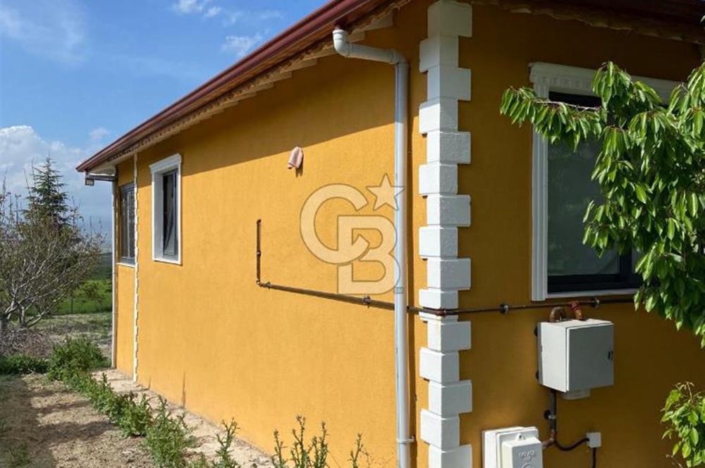 Sıfır satılık bağ evi