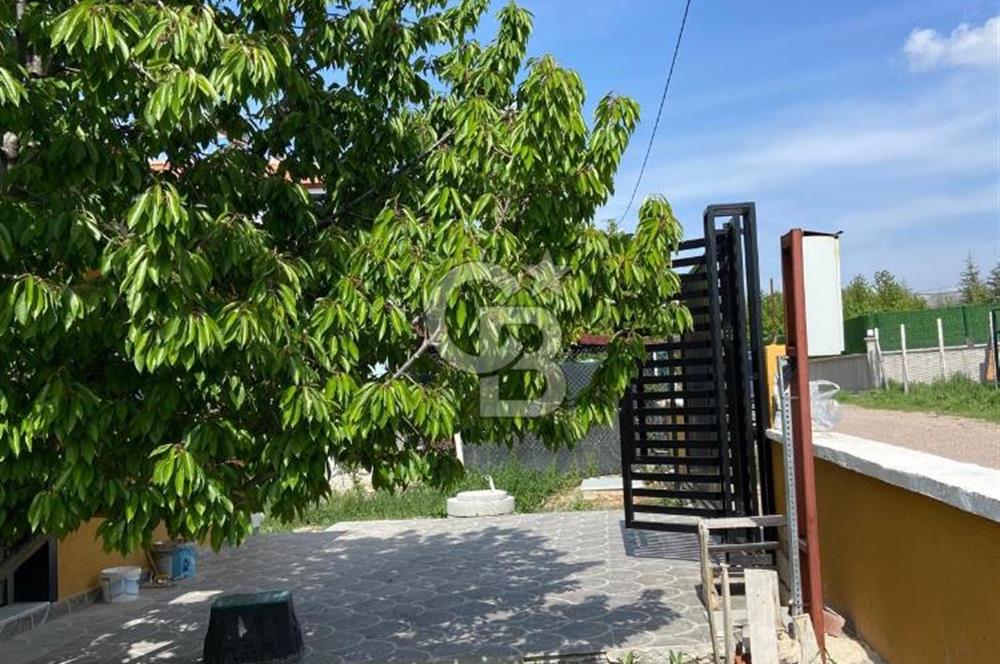 Sıfır satılık bağ evi