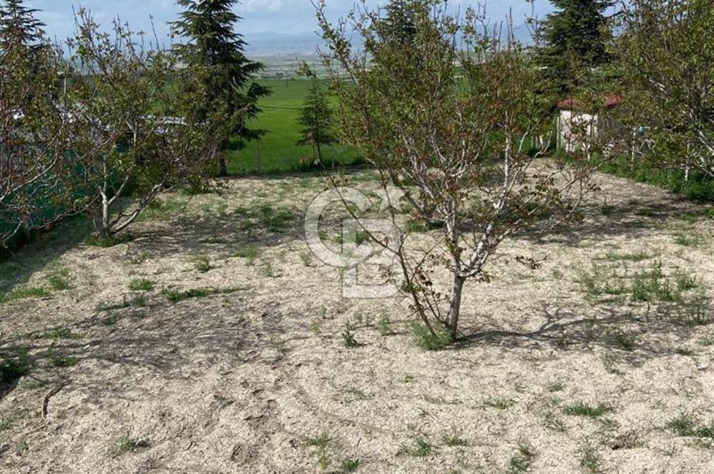 Sıfır satılık bağ evi