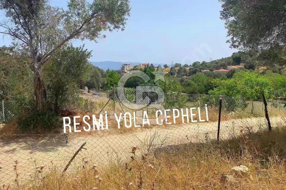 EĞLENHOCA KÖYÜ 1.033 m2 SATILIK TARLA