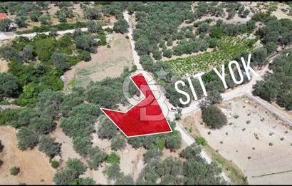 EĞLENHOCA KÖYÜ 1.033 m2 SATILIK TARLA